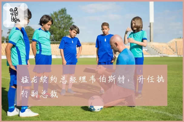 猛龙续约总经理韦伯斯特，升任执行副总裁