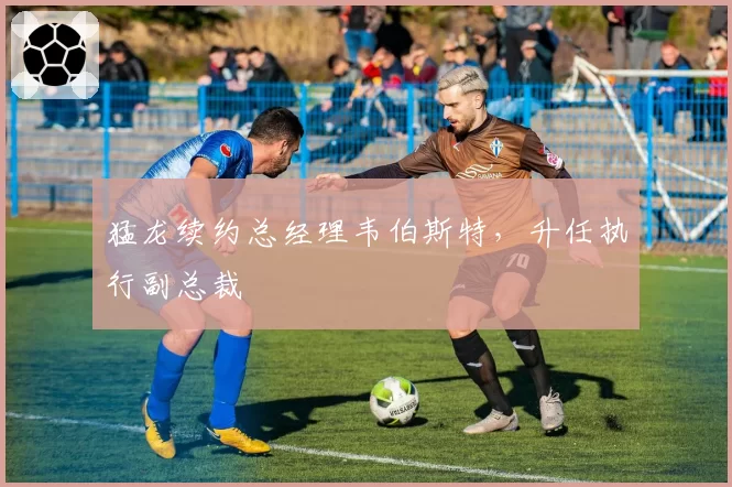 猛龙续约总经理韦伯斯特,升任执行副总裁