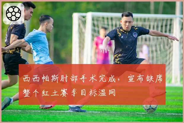 西西帕斯肘部手术完成，宣布缺席整个红土赛季目标温网